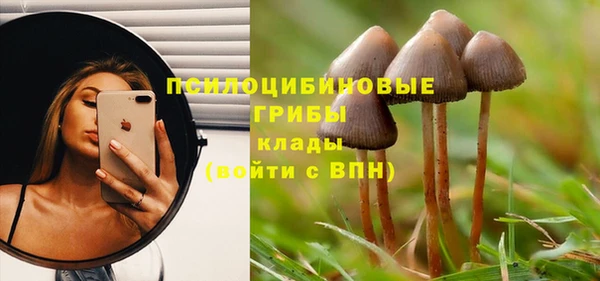 хмурый Алзамай
