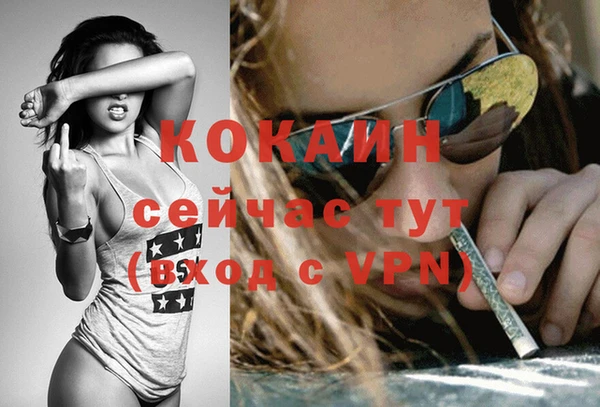 не бодяженный Алексин